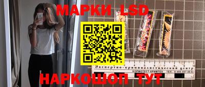 гашик Донской